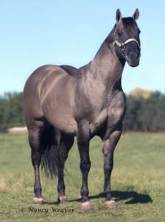 Sire
